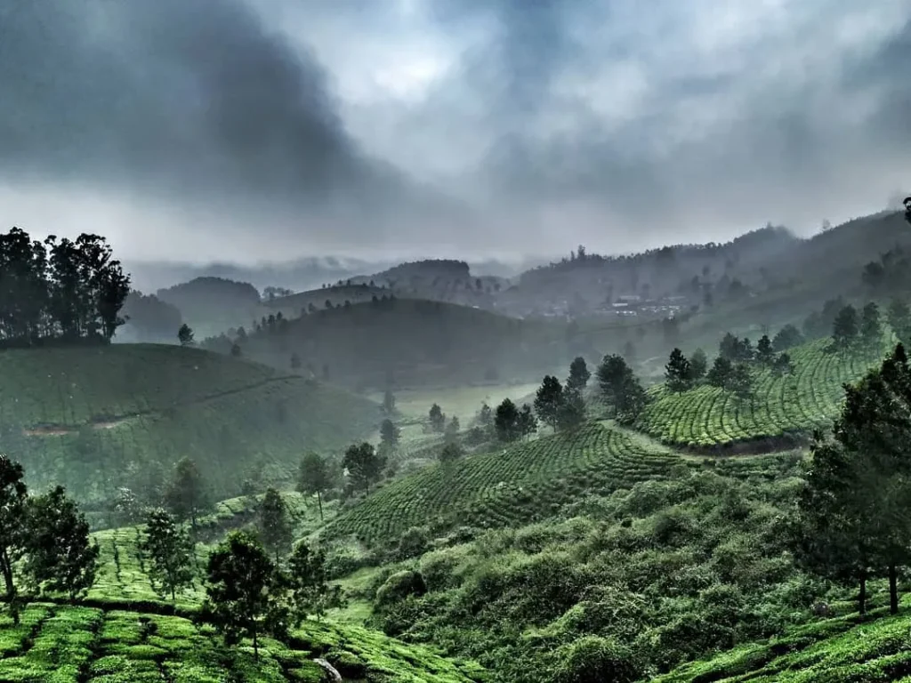 Munnar, Kerala - Best Places to Visit in Monsoon in India | भारत में बारिश में घूमने की 10 खूबसूरत जगह